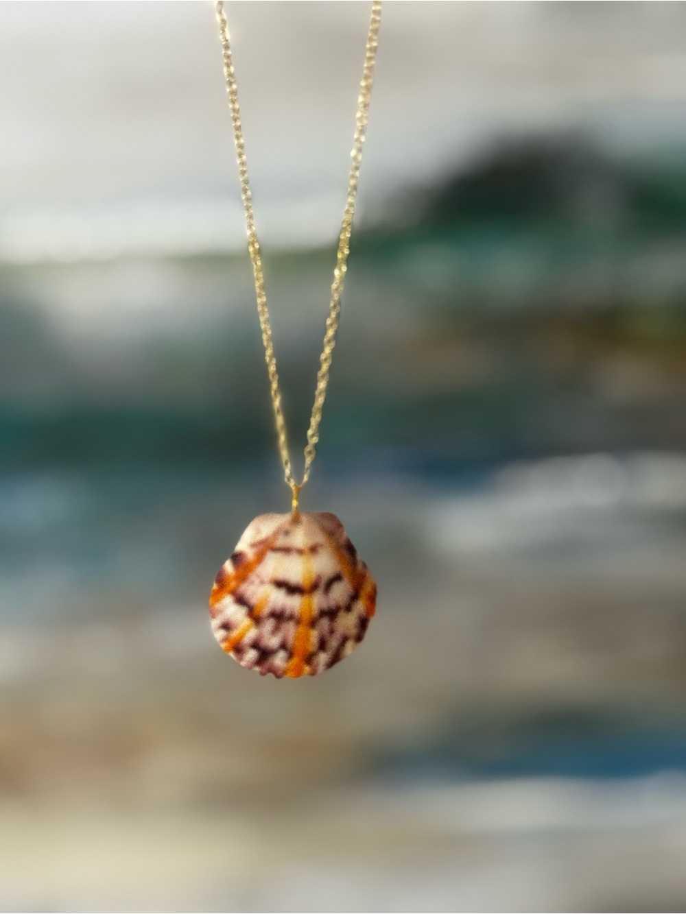 🐚 Southwest Florida Shell Necklace – Natural Scallop Shell